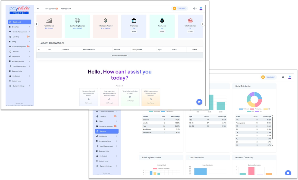 Official PaySoko Finance dashboard and reporting screens